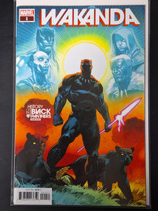 Wakanda 1 Marvel 2022 1:25 Klein Variant