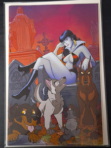 Vampirella 25 Dynamite 2021 - 1:11 Fleecs Virgin Variant