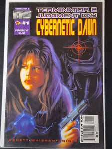 Terminator 2 Judgment Day Cybernetic Dawn 1 Malibu 1995