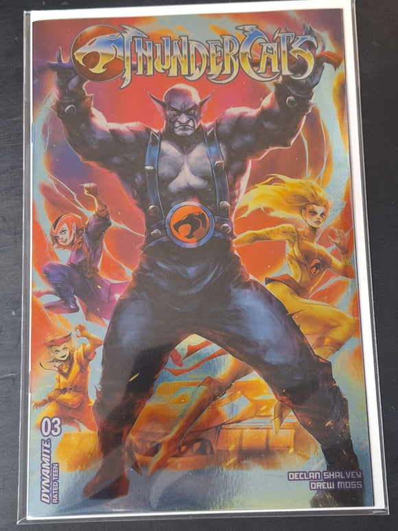 Thundercats 3 Dynamite 2024 1:10 Ivan Tao Foil Variant