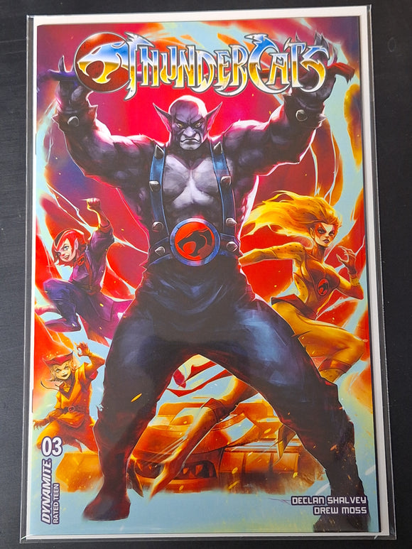 Thundercats 3 Dynamite 2024 Ivan Tao Variant