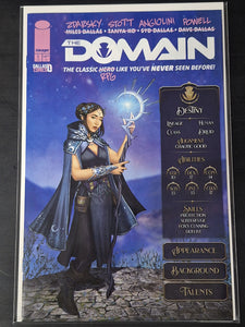 The Domain 1 Image 2024 Cover B