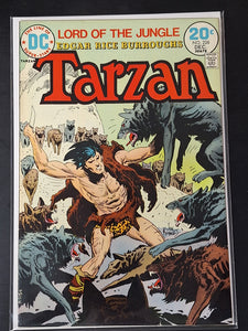 Tarzan 226 DC 1972 Bronze Age Classic