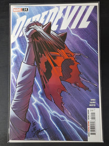 Daredevil 14 Marvel 2024 Cover A