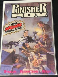 Punisher P.O.V 1 Marvel 1991 Bernie Wrightson Cover & Art