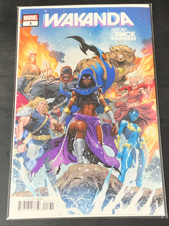 Wakanda 3 Marvel 2022 History of the BP Variant