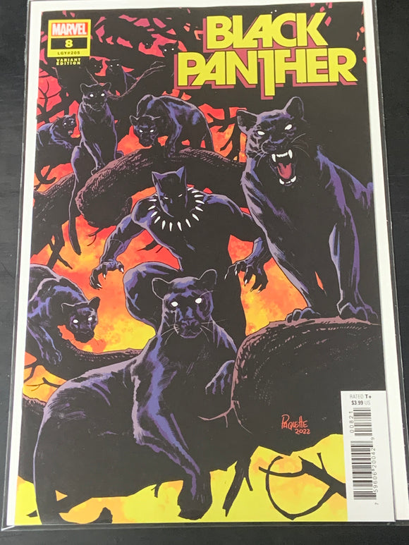 Black Panther 8 Marvel 2022 Paquette Variant