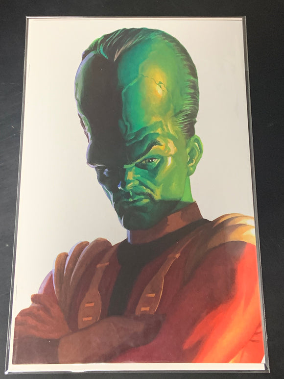 Hulk 13 Marvel 2023 Alex Ross Timeless Virgin Variant Leader